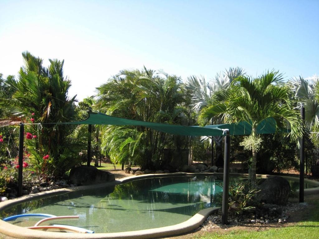 Daintree Wild Bed & Breakfast Rum bild
